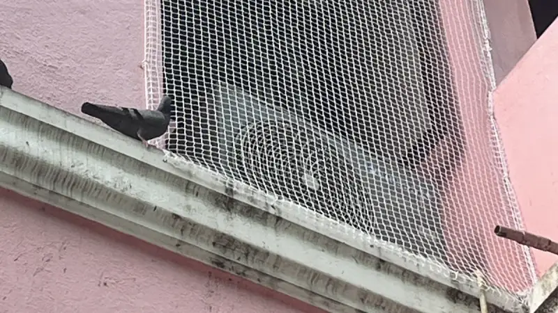 Window Pigeon Nets in Chennai